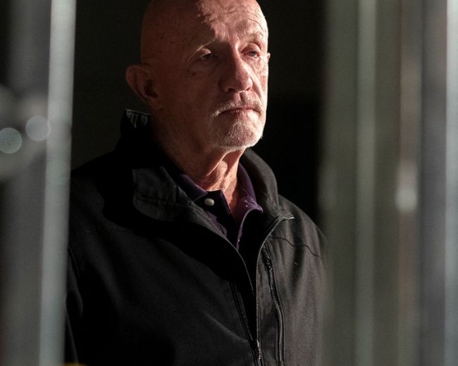 Mike Ehrmantraut - Dozorca